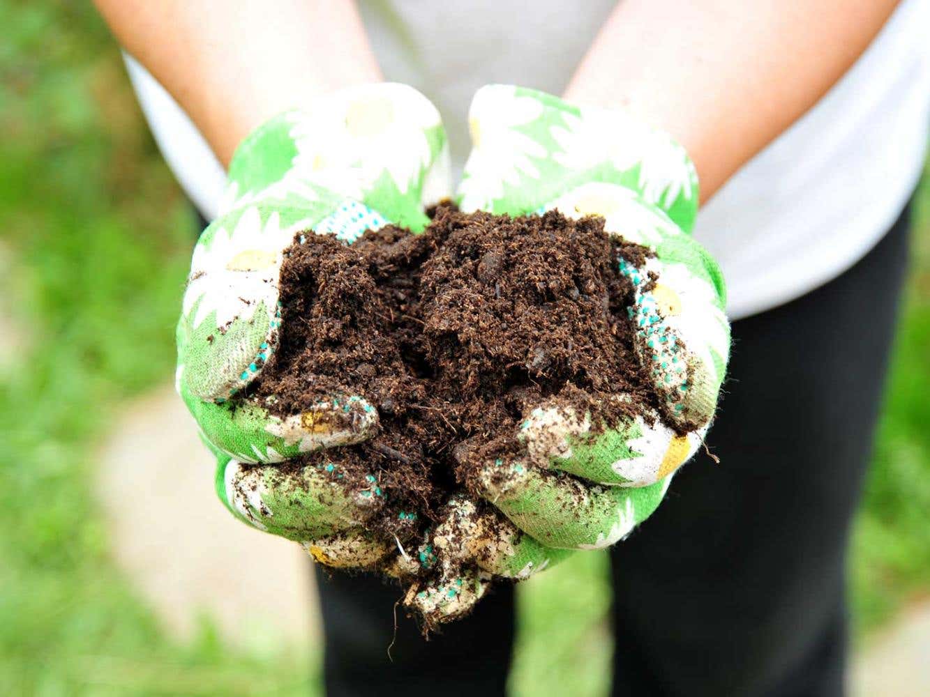 Soil on Hands