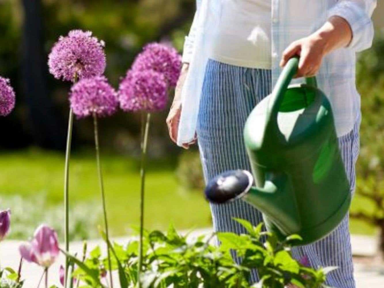 Watering flowers