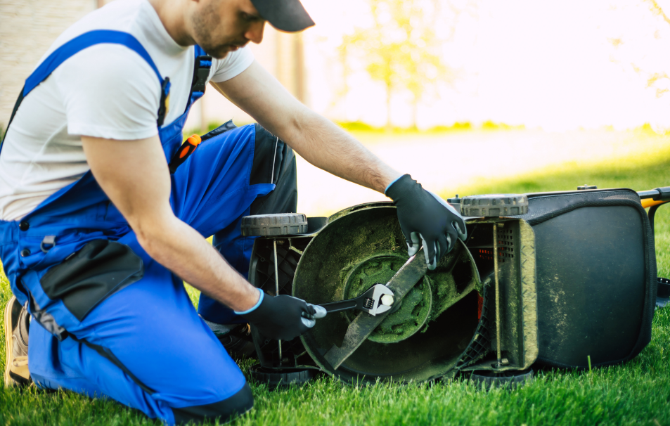 Home hardware lawn mower blades online