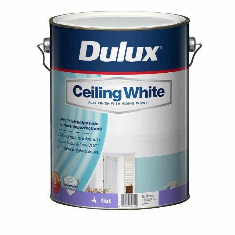 Ceiling Paint