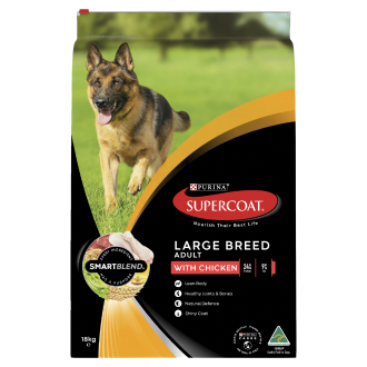 Dog Supplies